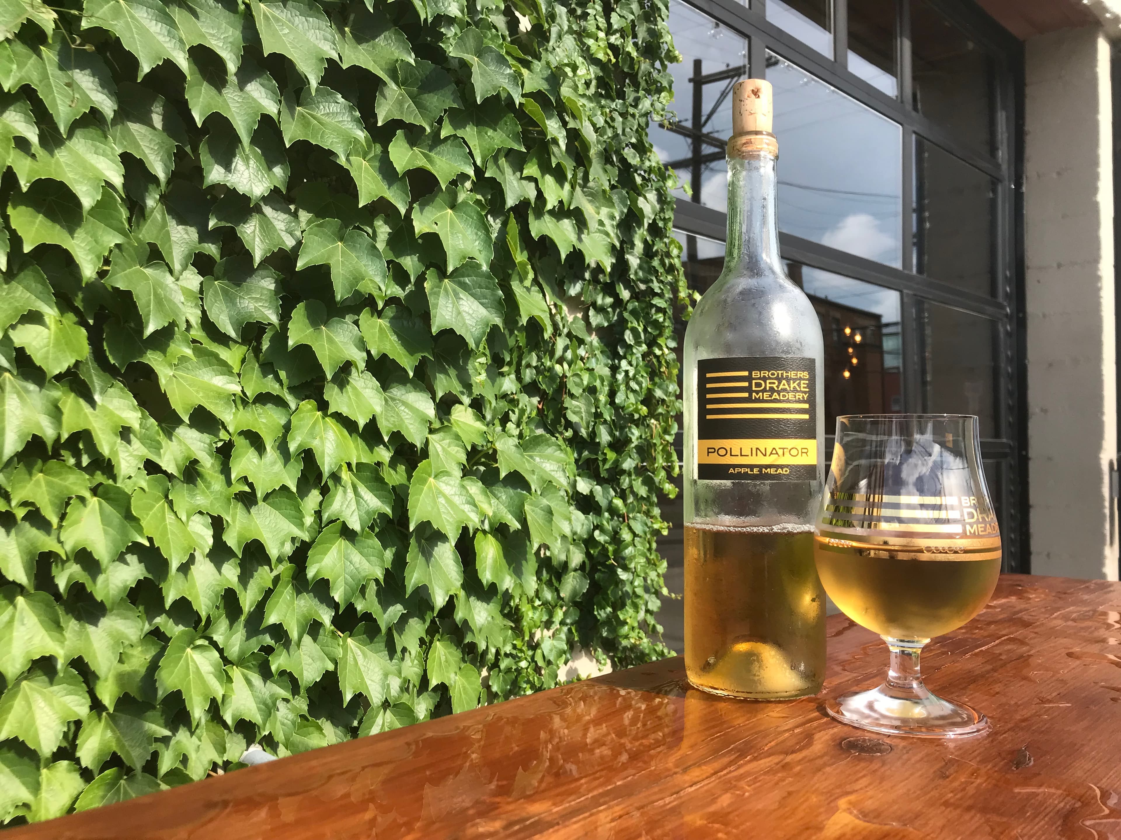 A bottle of Brothers Drake Pollinator apple mead and a poured glass on a patio table against an ivy-covered wall
