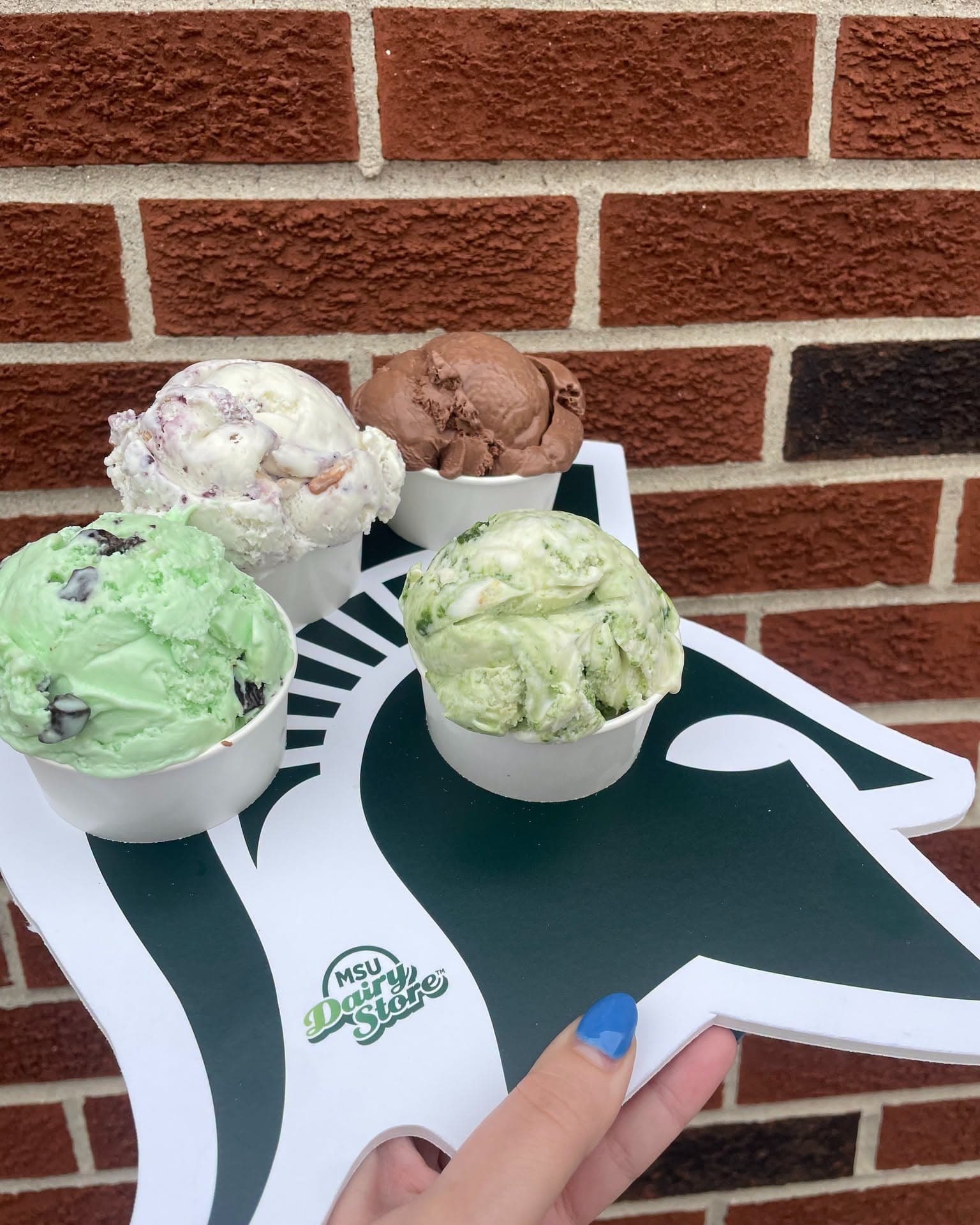 Four cups of MSU Dairy Store ice cream — mint chip, chocolate, and more — held up on a Spartan-helmet tray against a brick wall