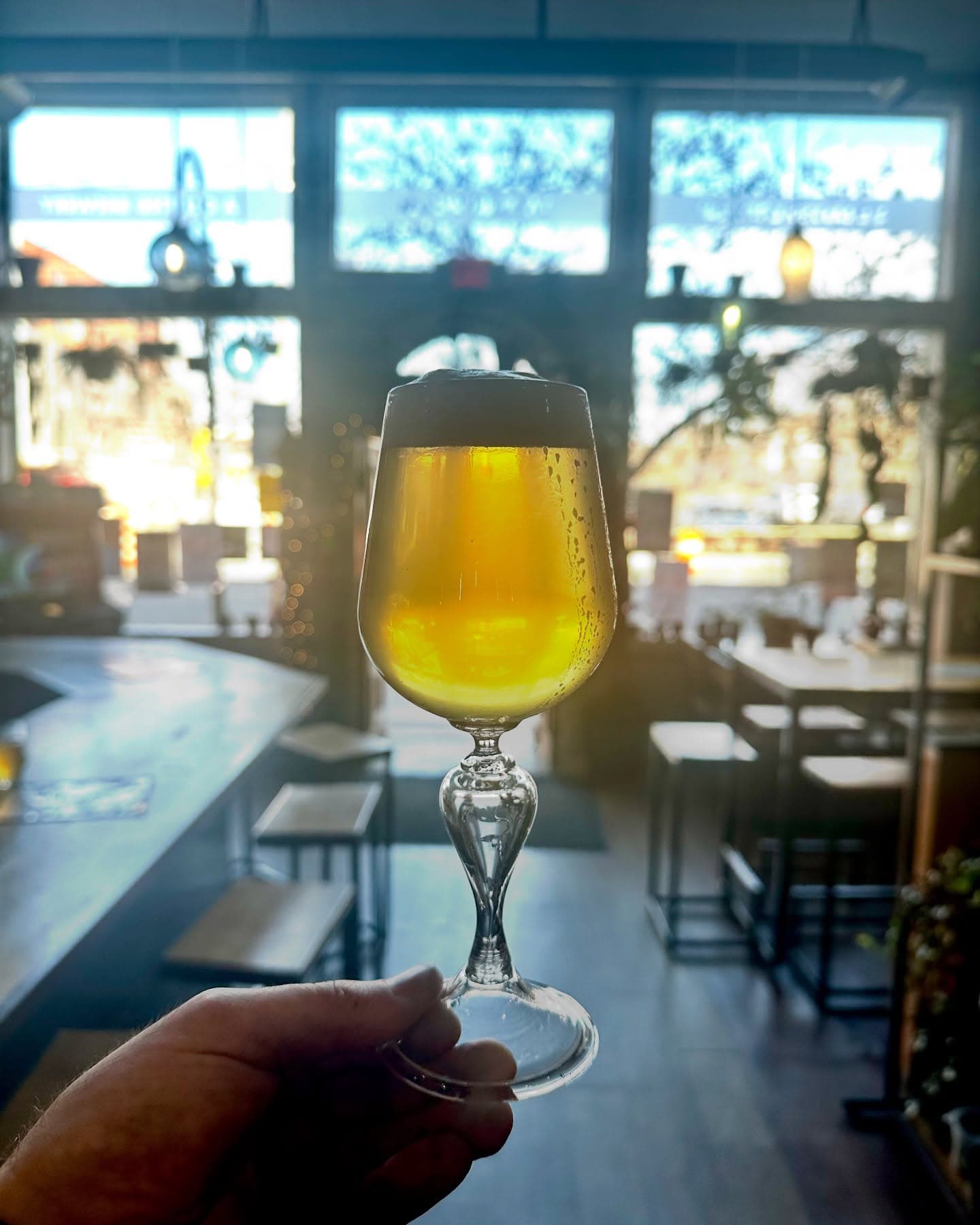 A hand-blown tulip glass of golden beer held up backlit by the taproom windows at Pretentious Beer Co