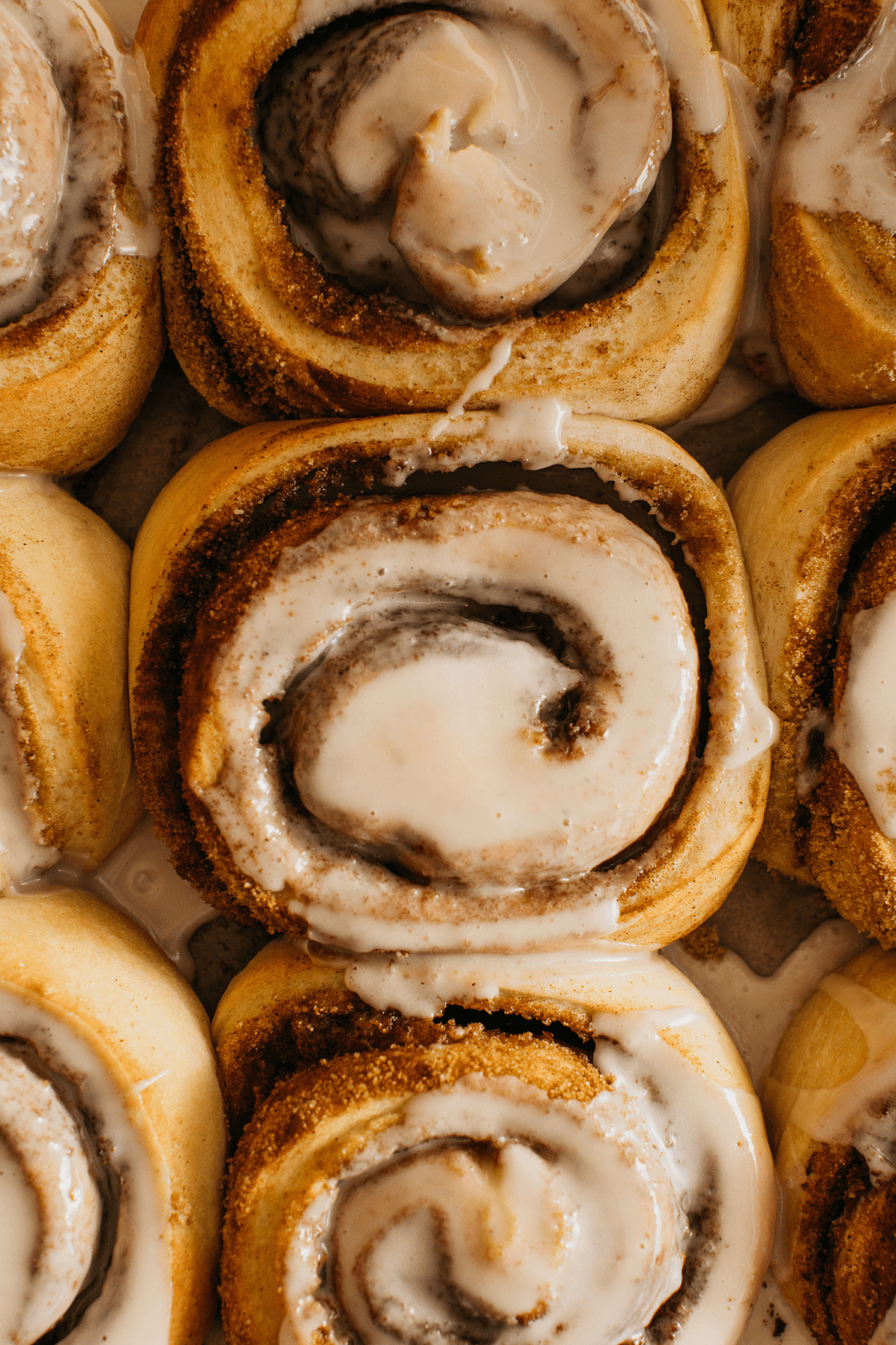 A close-up tray of glazed cinnamon rolls with white icing at Goldenrod Pastries