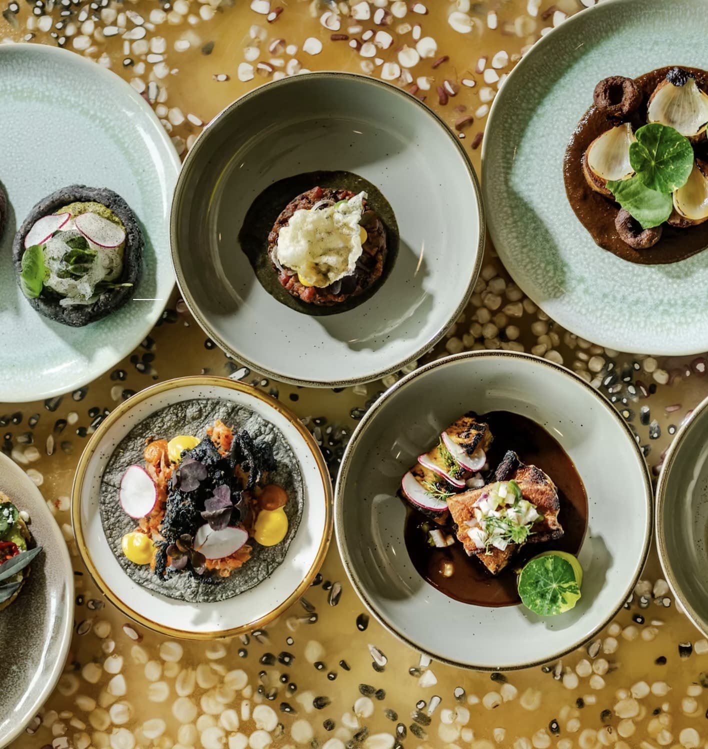 An overhead spread of Oro by Nixta's tasting plates — blue-corn tostadas, tartare on masa, and mole-braised pork belly