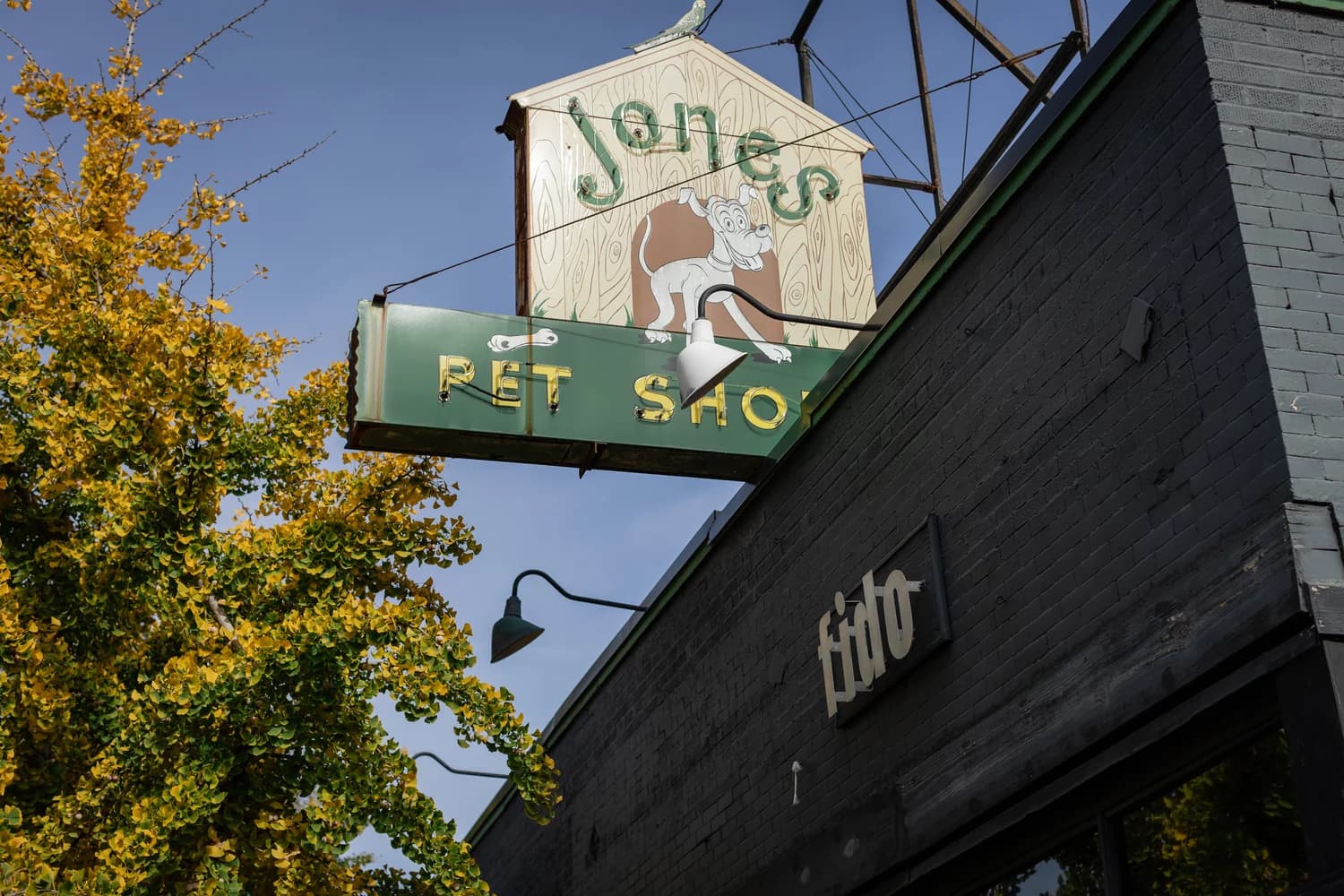 Fido's vintage 'Jones Pet Shop' rooftop sign and the fido storefront lettering against a blue sky