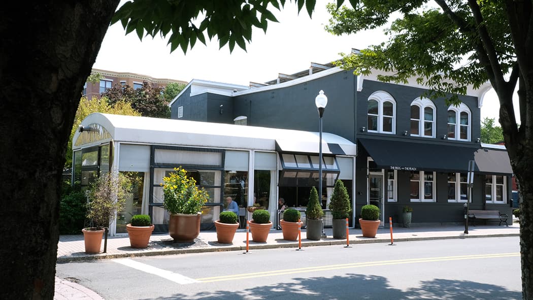 The Frog & The Peach's dark storefront with potted topiaries and awnings along George Street